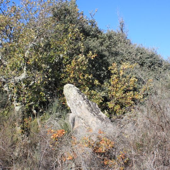 Terronha de Pinhovelo