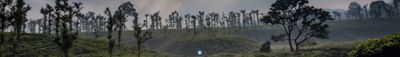 Panoramic View 0