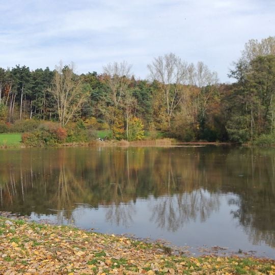 Feuchtbiotop Renninger See