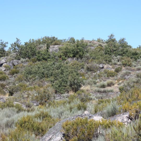 Castro de Lama de Ouriço