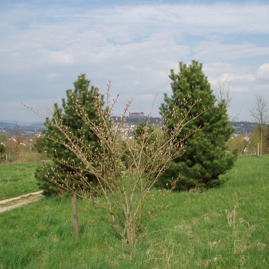 Grünes Labor Coburg