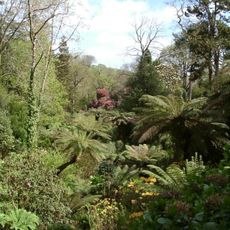The Lost Gardens of Heligan