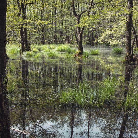 Rote Lache von Wolfgang
