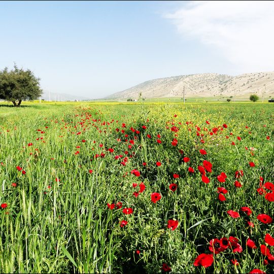 Shahrestān di Basht