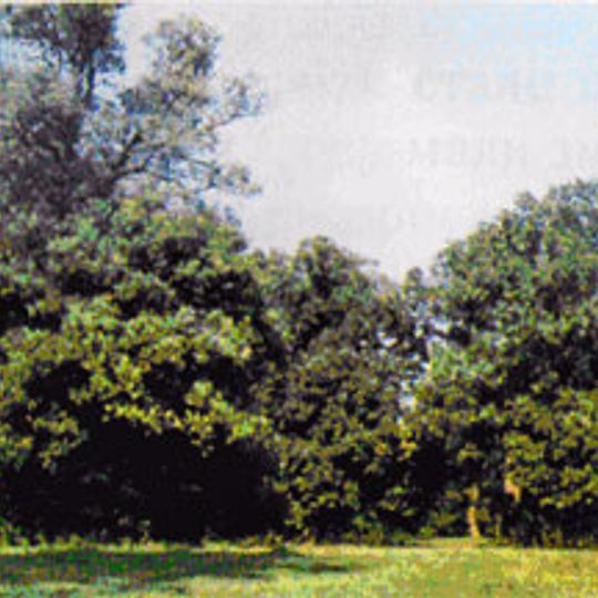 Vysotskyi Nature Reserve