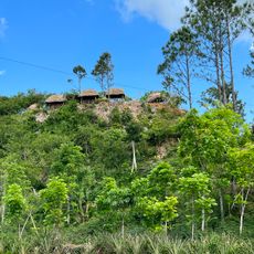 Canopy Tour
