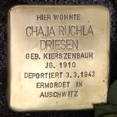 Chaja Ruchla Driesen