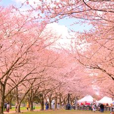 West Fairmount Park