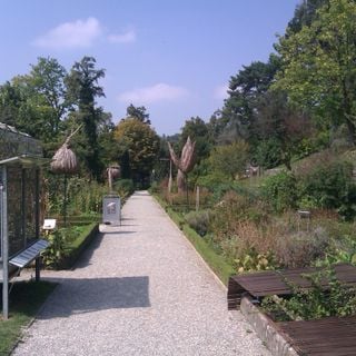 Cantonal Botanical Museum and Gardens
