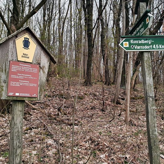 Steinbruch und Basaltkuppe Frenzelsberg