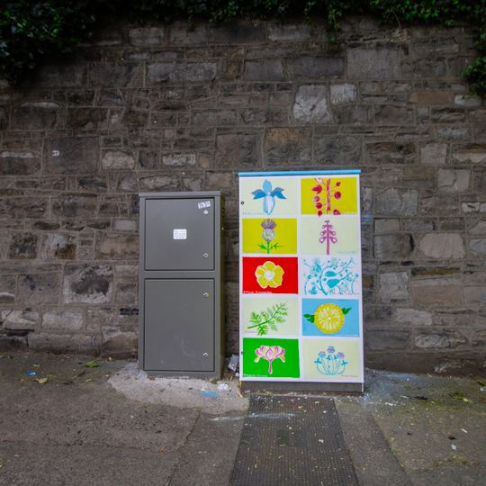 Flora in the Phoenix Park