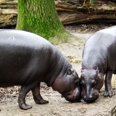 Parc national de Sapo