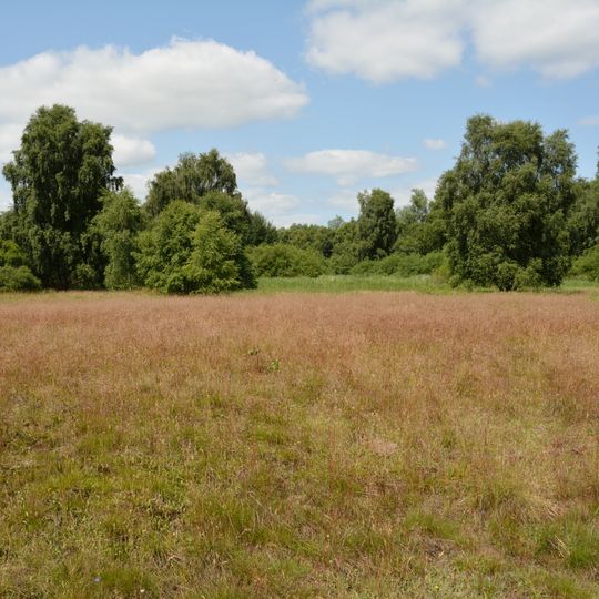 Baggerkuhle Gribbohm