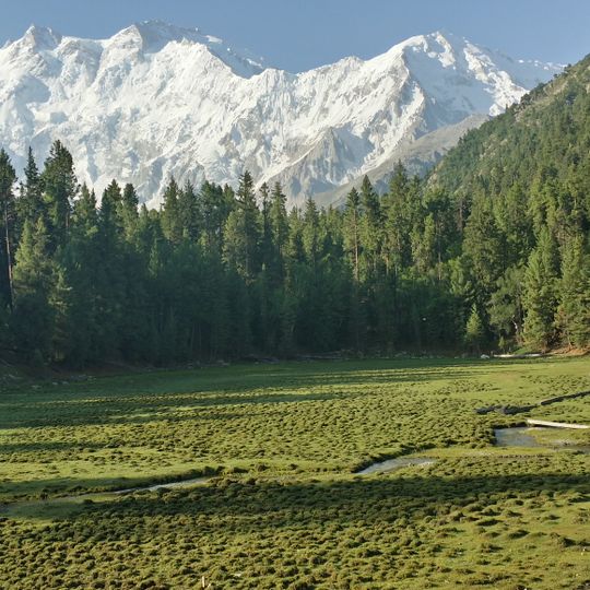 Fairy Meadows National Park
