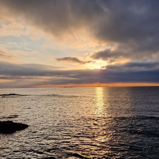 Parc de la Pointe des Sardinaux