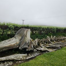 Westray Heritage Centre
