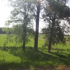 Andriyashivsko-Hudymivskyy