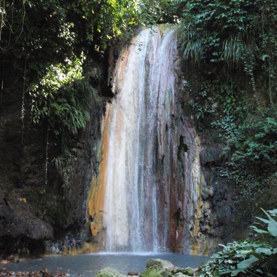 Jardines Botánicos Diamond