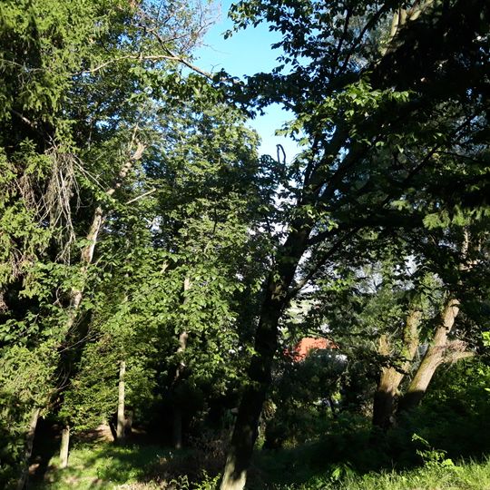 Park kultury i vidpochynku