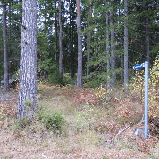 Öjersbyns gammelskog