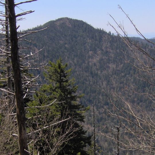 Mount Chapman
