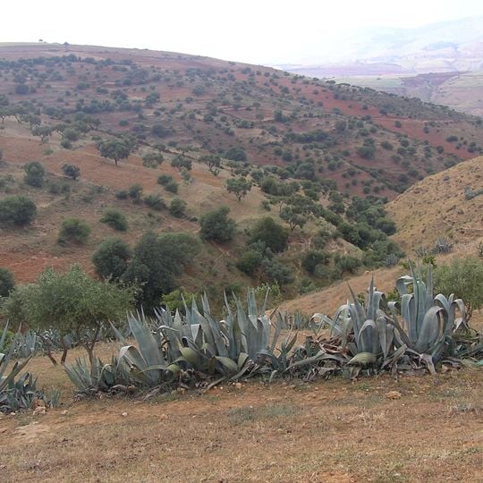 Provincia di Relizane