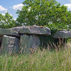 Dolmen de la Forêt