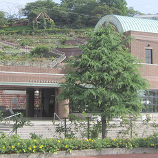 Handayama Botanical Garden