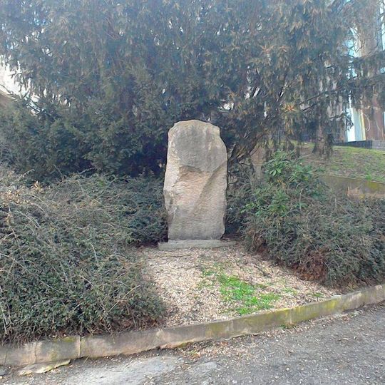 Tyršův kámen u Tělocvičné ulice v Plzni