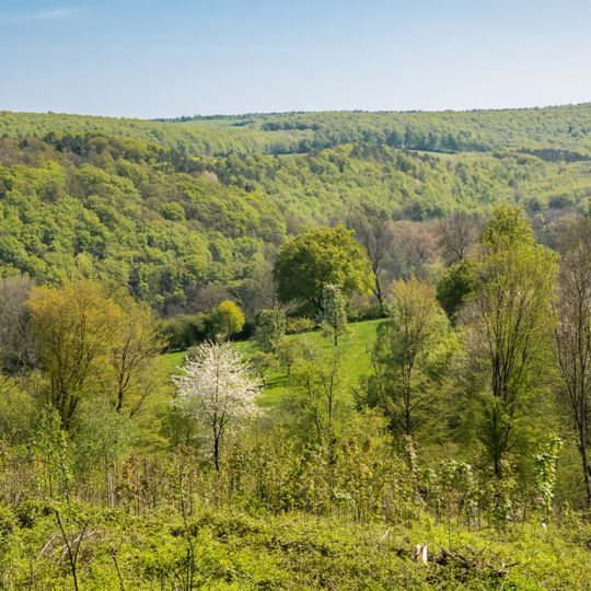 NSG Rotenberg,Baerenkopf,Habichtsberg und Wihupsberg