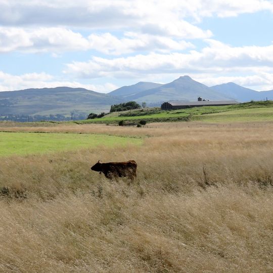 Réserve naturelle régionale des tourbières du Jolan et de la Gazelle
