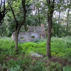 Dwór (pozostałości) w Trękusku