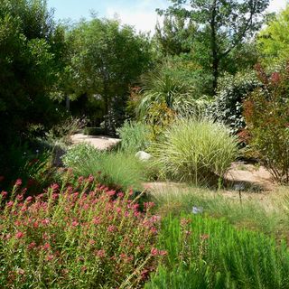 The Gardens at the Las Vegas Springs Preserve