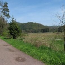 Palatinate Forest
