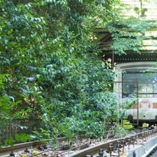 Ordzhonikidze sanatorium funicular