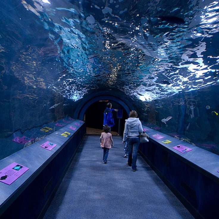 ニューポート水族館
