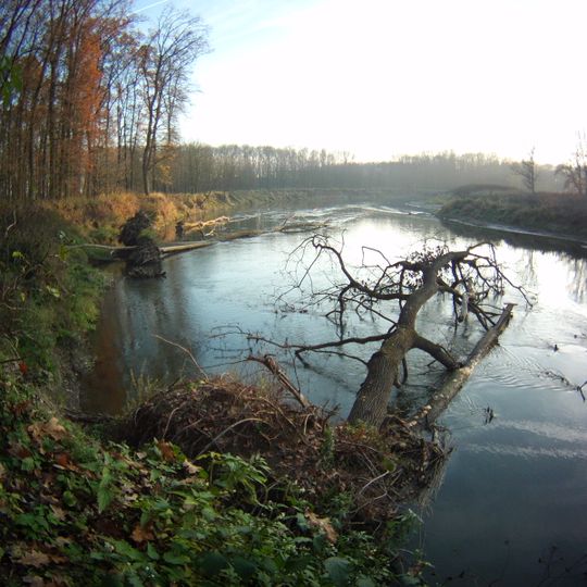 Prírodný park Strážnické Pomoraví