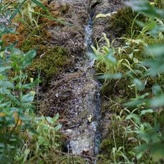 Wachsender Stein E von Schönbrunn