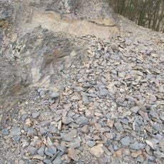 Skryjsko-týřovické kambrium