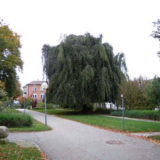 Pomologie und Volkspark