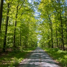 Haßbergetrauf und Bundorfer Wald