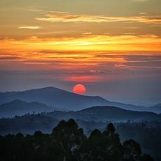 Parc national de Nyungwe