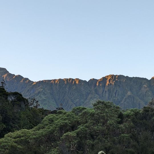 Tara Tama Range