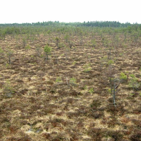 Plynoji Telmological Reserve