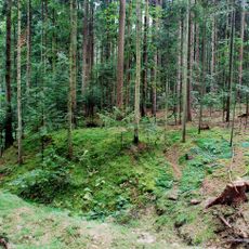 Mittelalterliche Wehranlage Burg Lemsitz