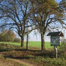 Kříž nad Dolní Bělou pod kaštany