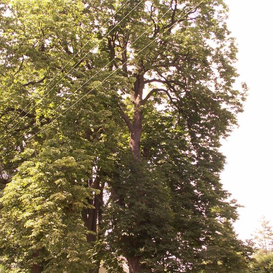 Skupina na návsi v Olešně