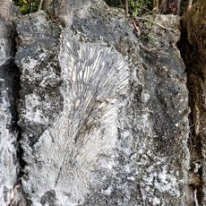 Windley Key Fossil Reef Geological State Park