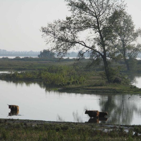 Tiengemeten