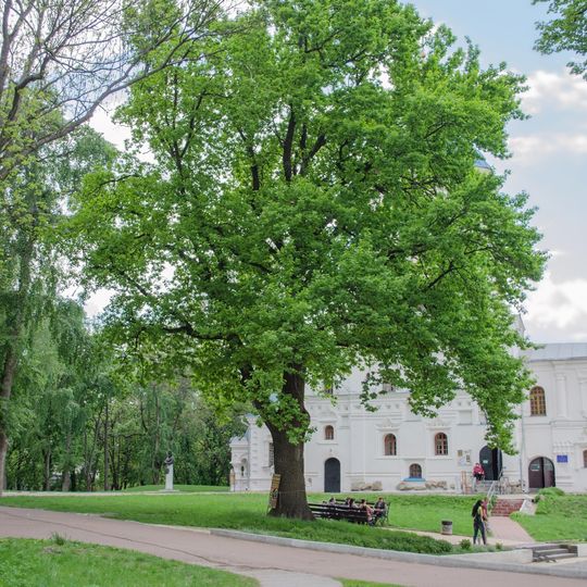 Парк культури та відпочинку імені М. М. Коцюбинського